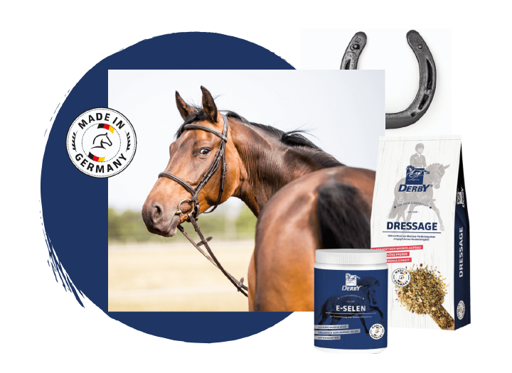 teaser derby made in germany pferdefutter